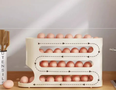 Egg Organizer