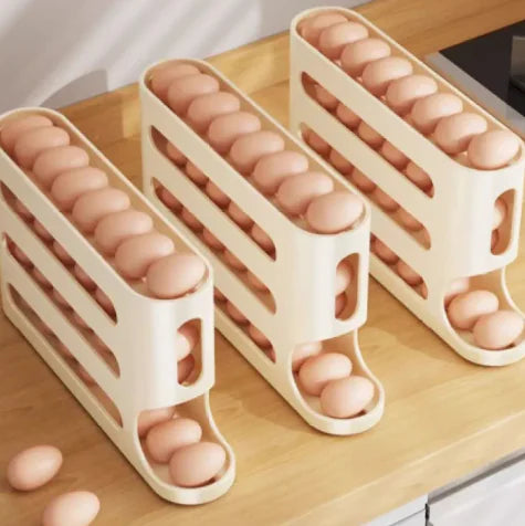 Egg Organizer