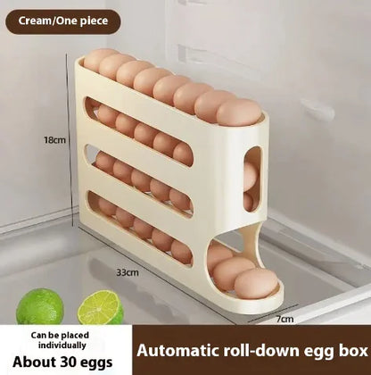 Egg Organizer