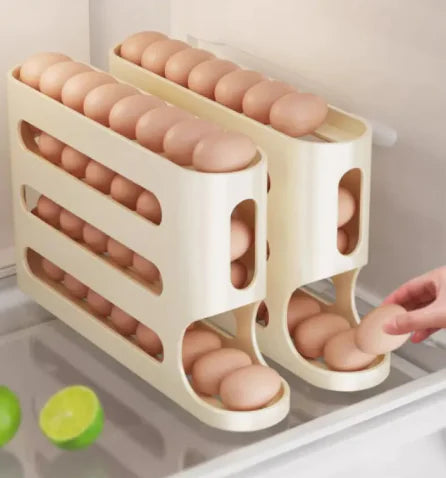Egg Organizer